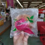 佐伯のレアパン、阿部製菓の「ローズブレッド」通称「バラパン」