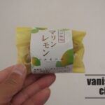 「お菓子のうめだ」の佐伯銘菓「さいきマリンレモン」