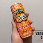 懐かしい? 金太洋の「つぶオレンジみかん」