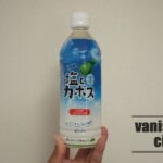 ジェイエイフーズおおいたの「塩とカボス」