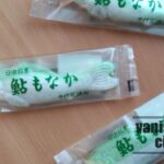 いかにも日田らしい和菓子、「中村家菓舗」の「鮎もなか」